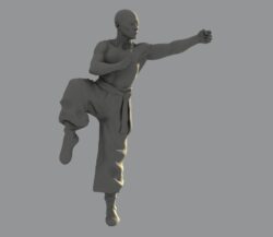 шаолиньский монах