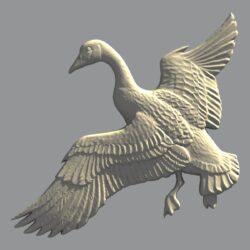 Канадский гусь